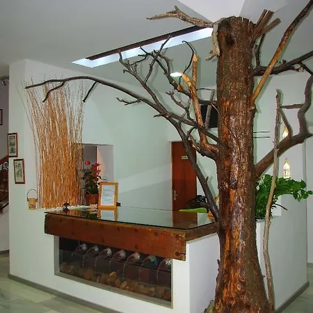 Hotel Hotel Lanjaron